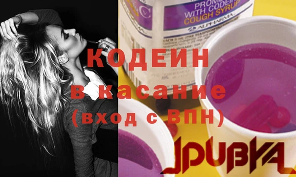 прущие грибы Анива