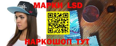 дмт Гатчина