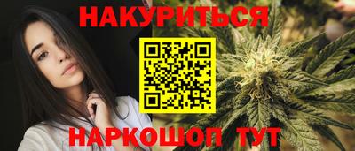дмт Гатчина