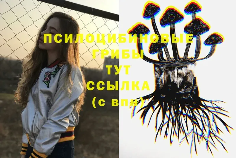 как найти закладки  дарк нет клад  Галлюциногенные грибы Psilocybe  Стрежевой 