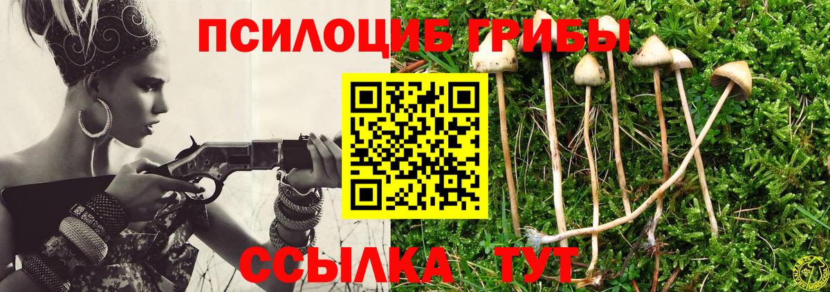 Псилоцибиновые грибы прущие грибы Стрежевой