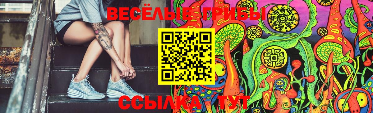 Псилоцибиновые грибы GOLDEN TEACHER  Стрежевой  Псилоцибиновые грибы прущие грибы 