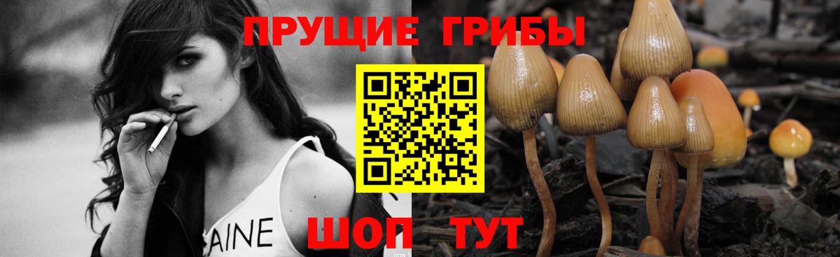 Стрежевой  Галлюциногенные грибы Psilocybe  Вход с VPN  где купить наркотик  Псилоцибиновые грибы прущие грибы 
